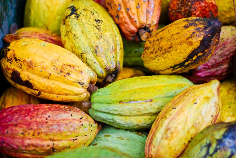 Cacao._Costa_Rica