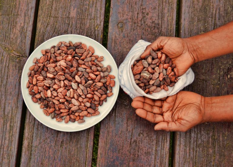 Cacao_beans